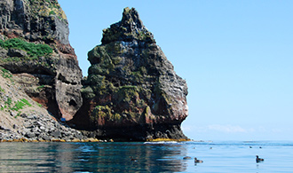天売島の海鳥保護を目的としたノラネコ対策促進のための協働取組