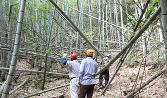 放置竹林伐採と竹資源の有効活用を通じた、地域における環境保全と地域活性化のための協働取組事業