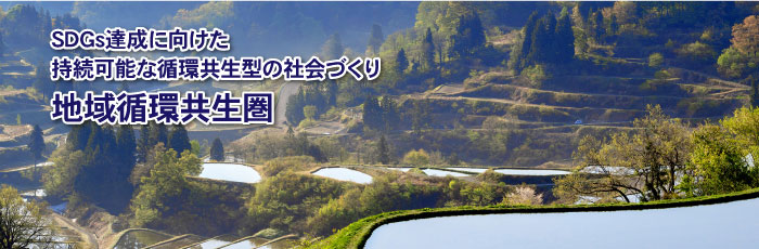 地域循環共生圏