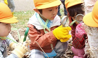 森で遊ぶコドモと先生を増やす森林環境教育プロジェクト