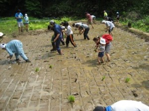 棚田の再生活動