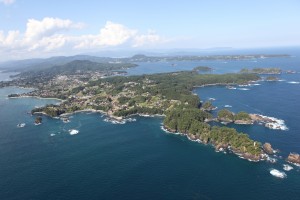 気仙沼大島（写真提供　環境省）