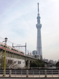 IMG_8827S