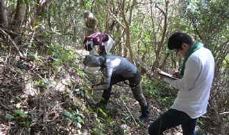 伊島の宝：ササユリの保全活動からはじめる、自然の恵みを活かした持続可能な地域づくりプロジェクト