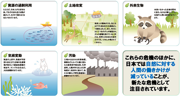 生物多様性２０２０