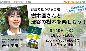 都会で見つける自然　樹木医さんと渋谷の樹木を楽しもう！