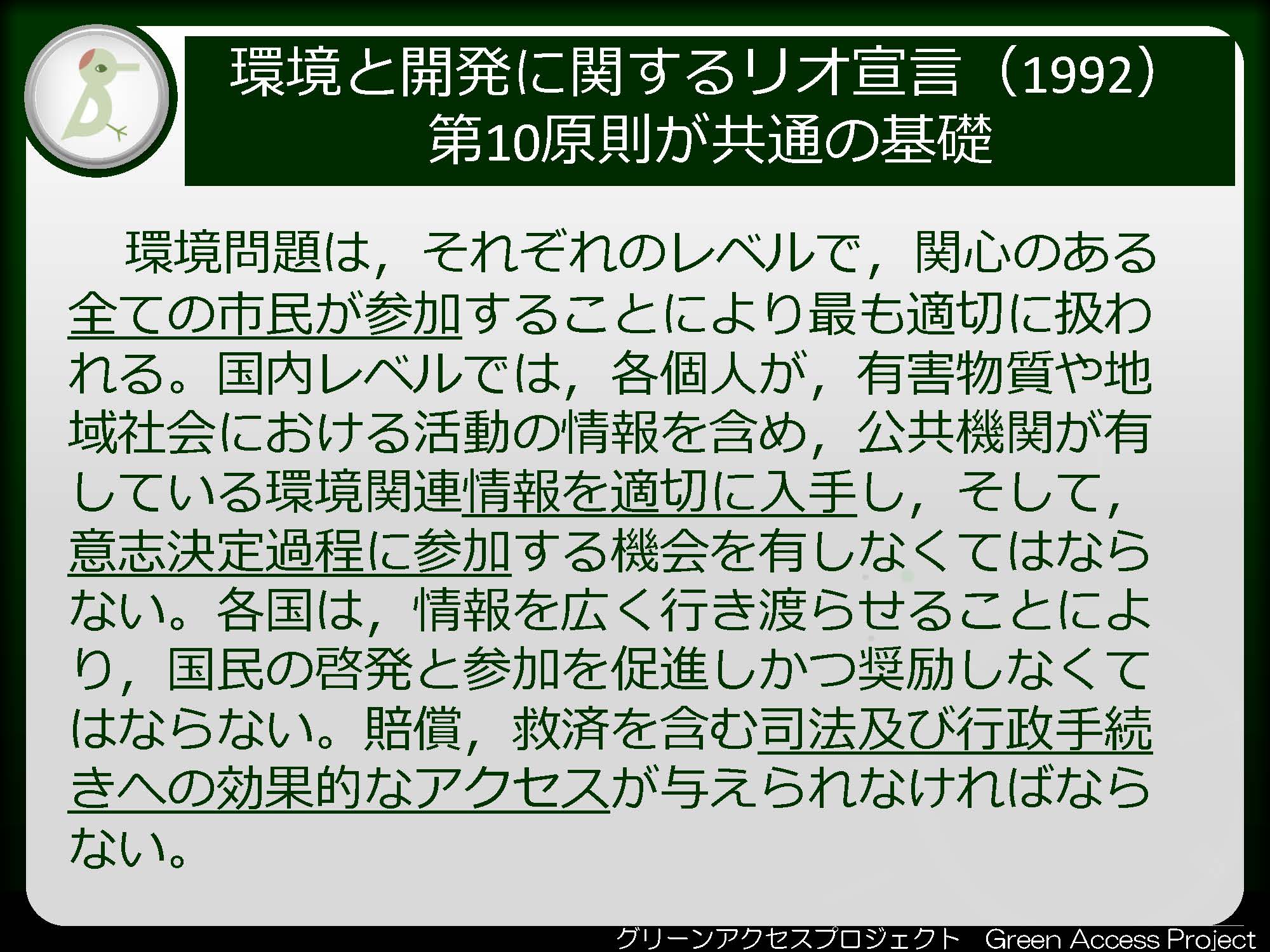 リオ宣言