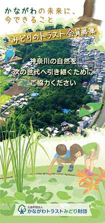 活動紹介(写真)