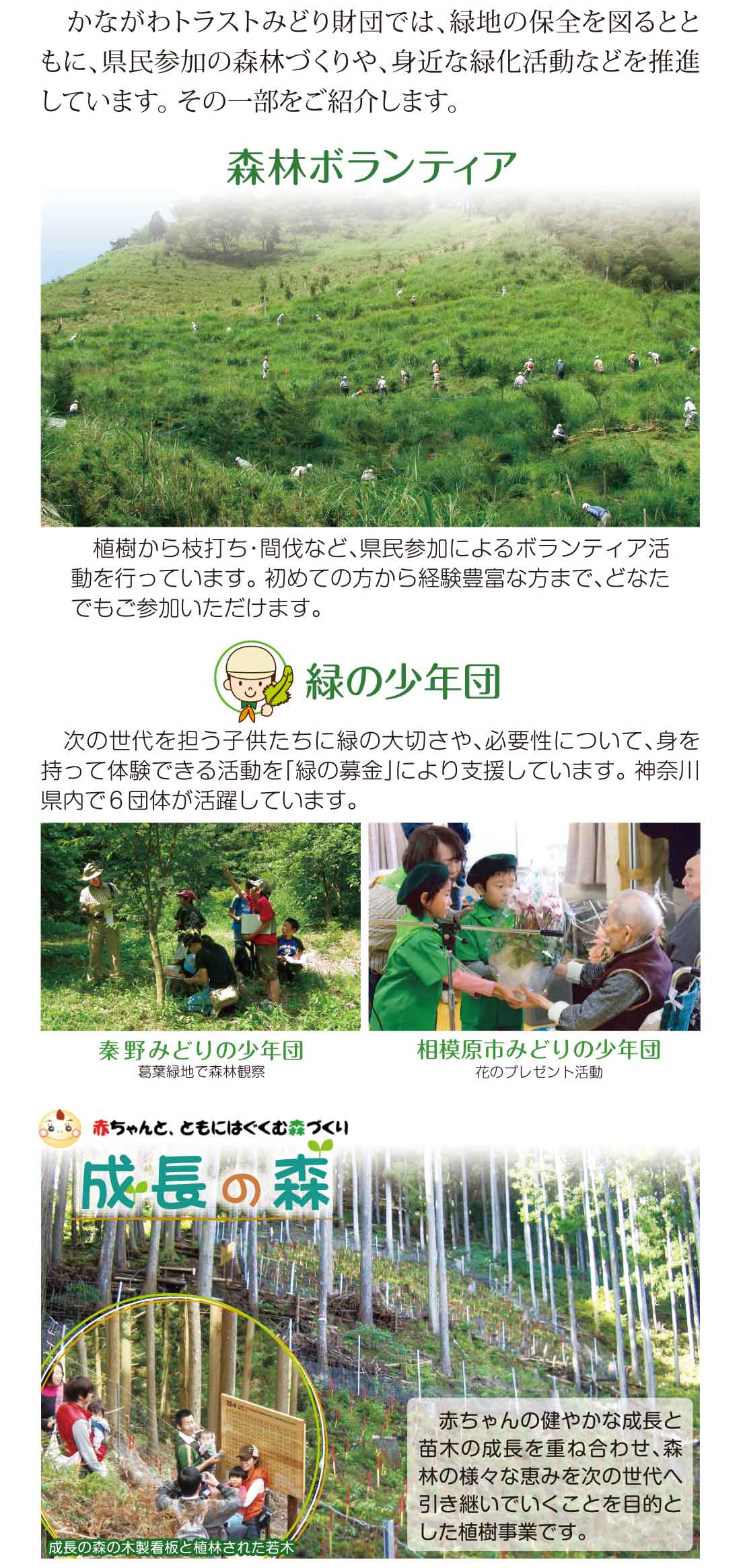 活動紹介(写真)