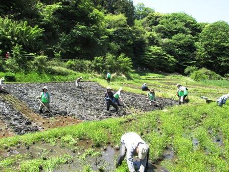 活動紹介(写真)