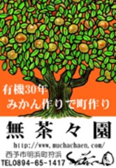活動紹介(写真)
