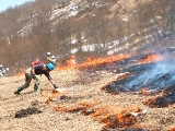 活動紹介(写真)