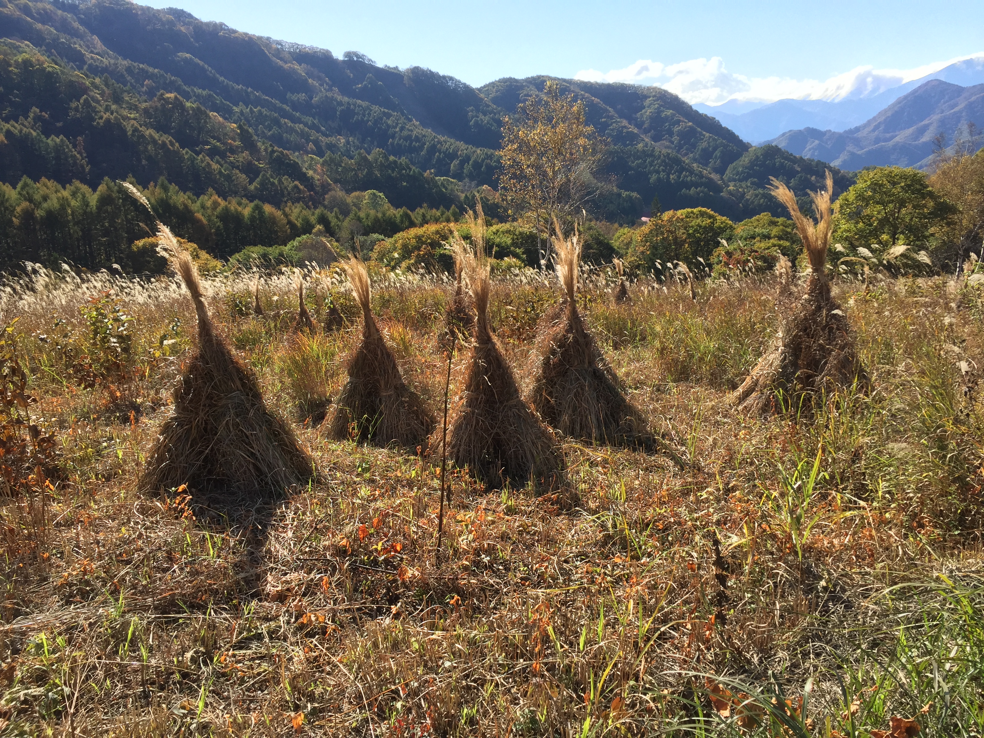 活動紹介(写真)