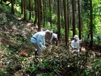 活動紹介(写真)