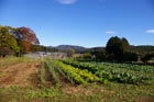 活動紹介(写真)