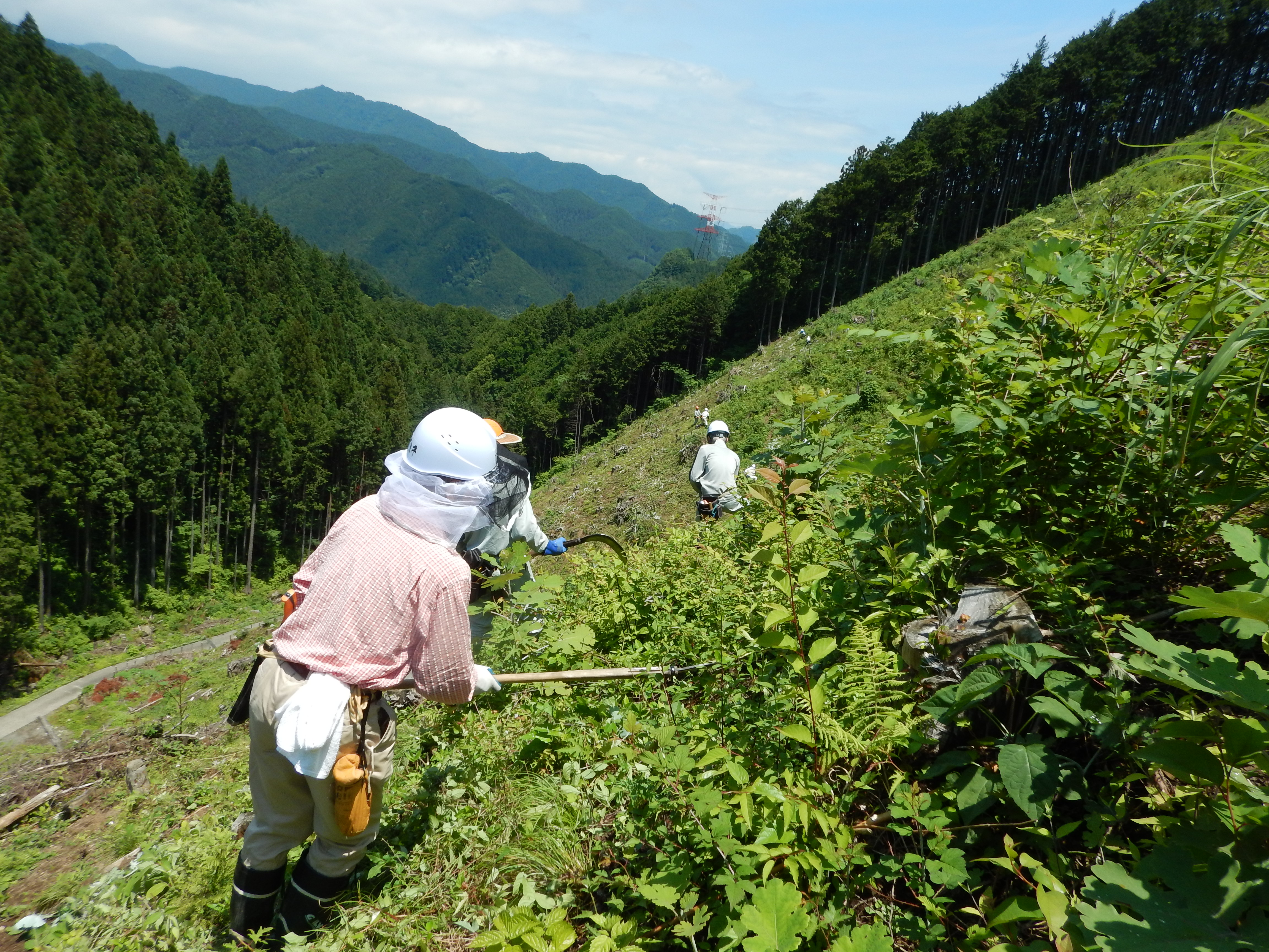 活動紹介(写真)