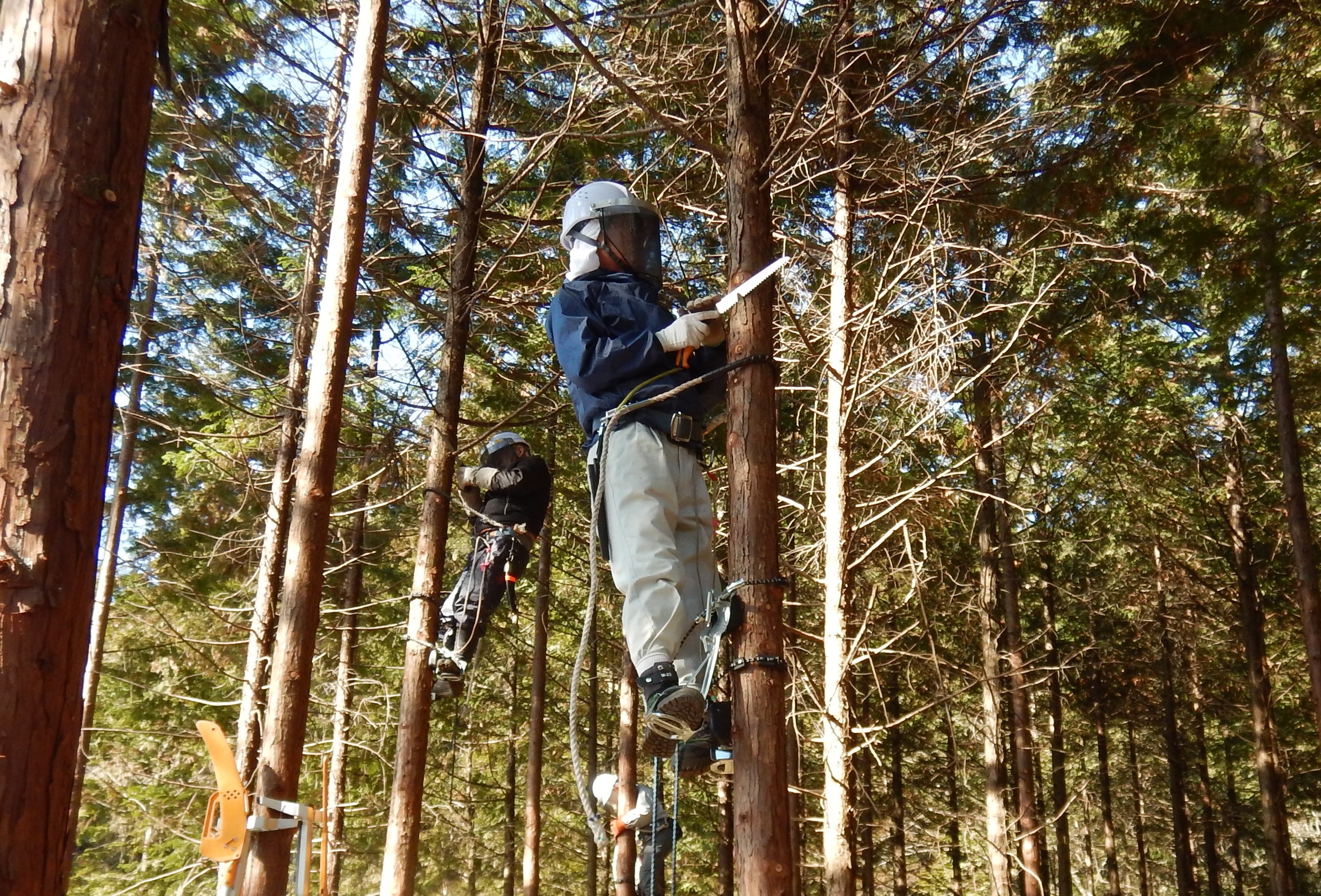 活動紹介(写真)