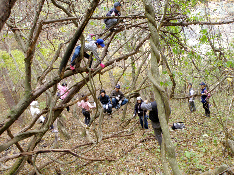 活動紹介(写真)