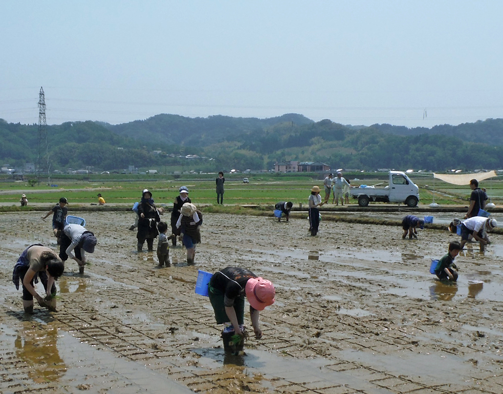 活動紹介(写真)