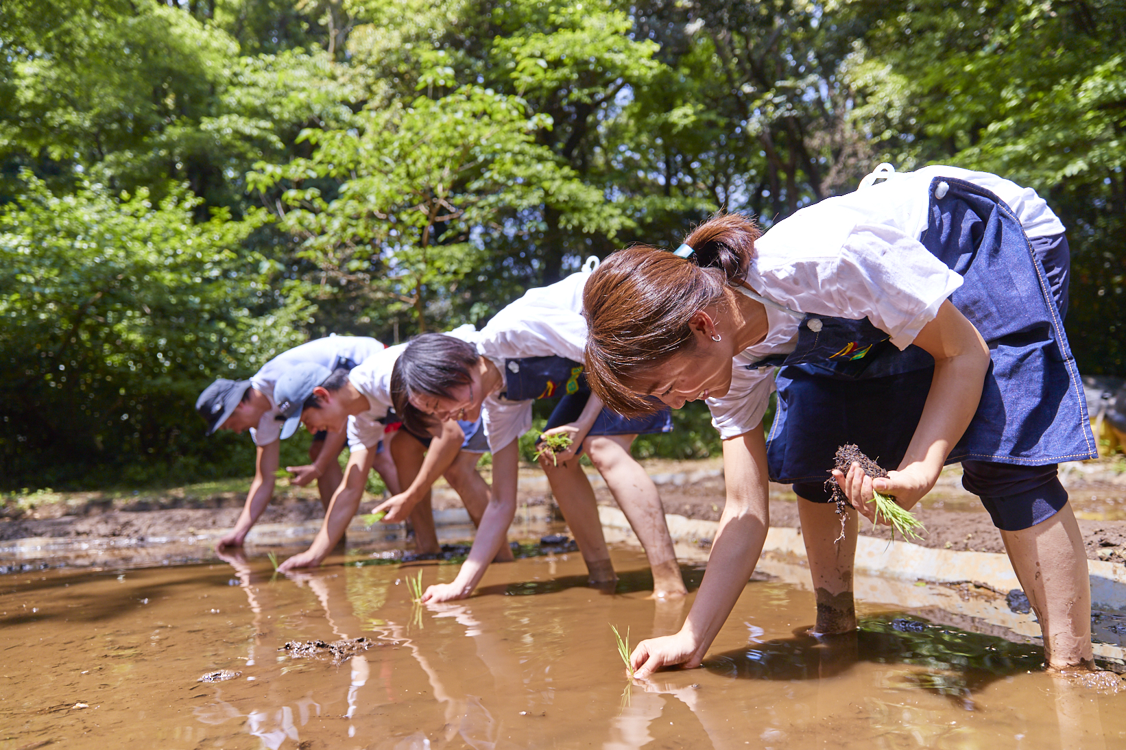 活動紹介(写真)