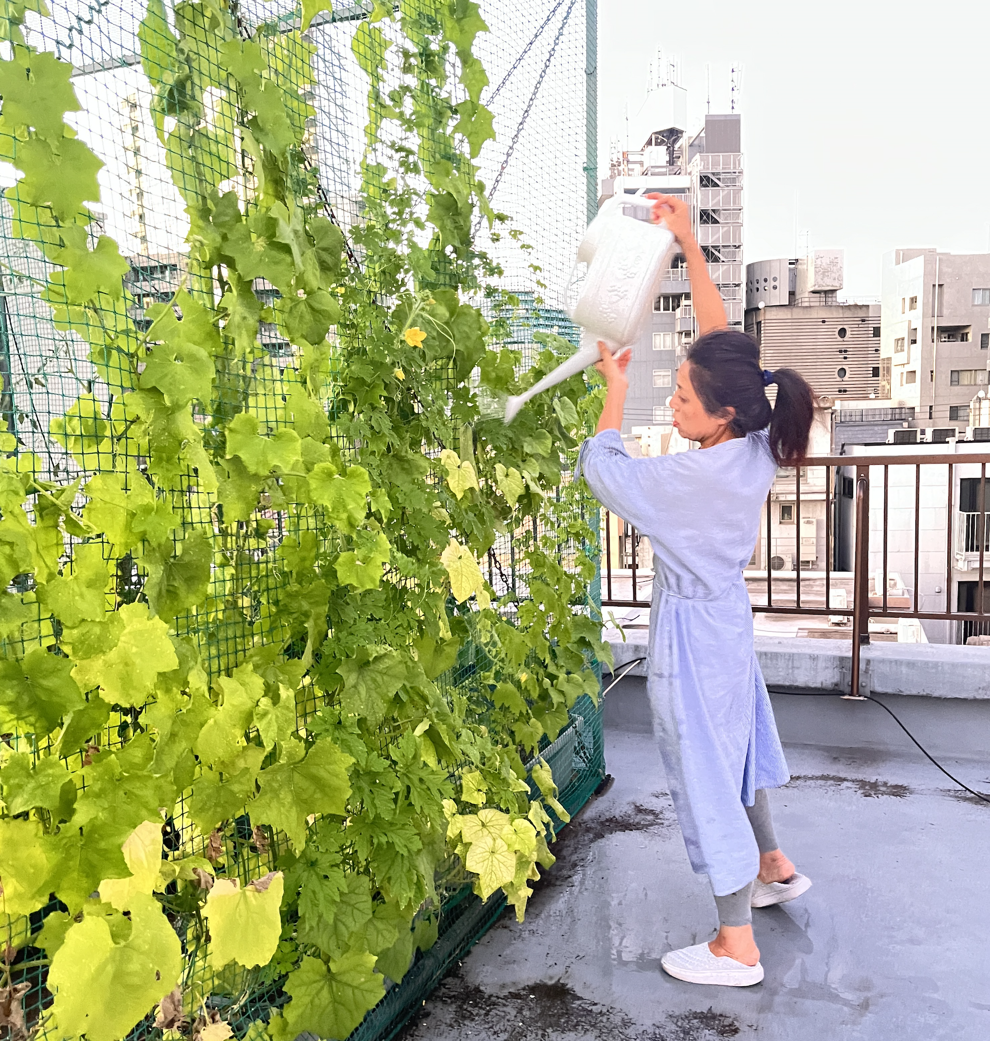 活動紹介(写真)