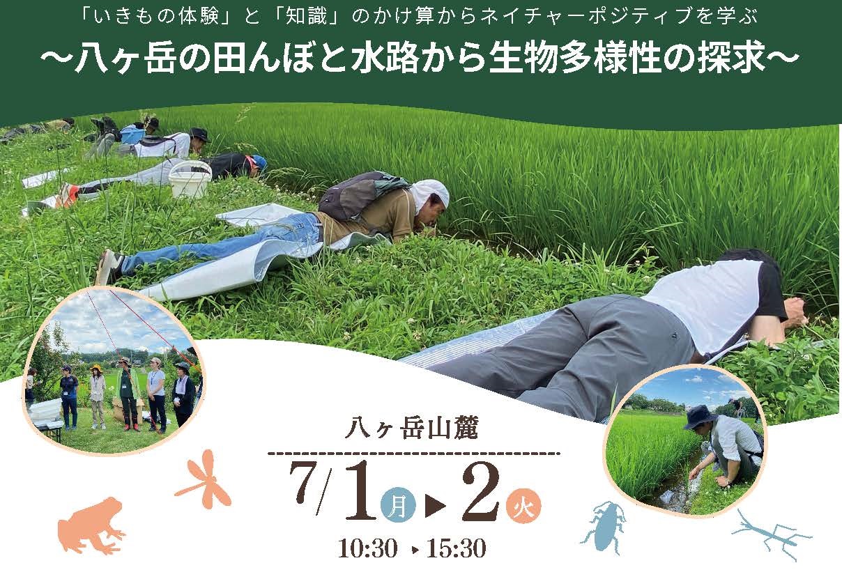 活動紹介(写真)