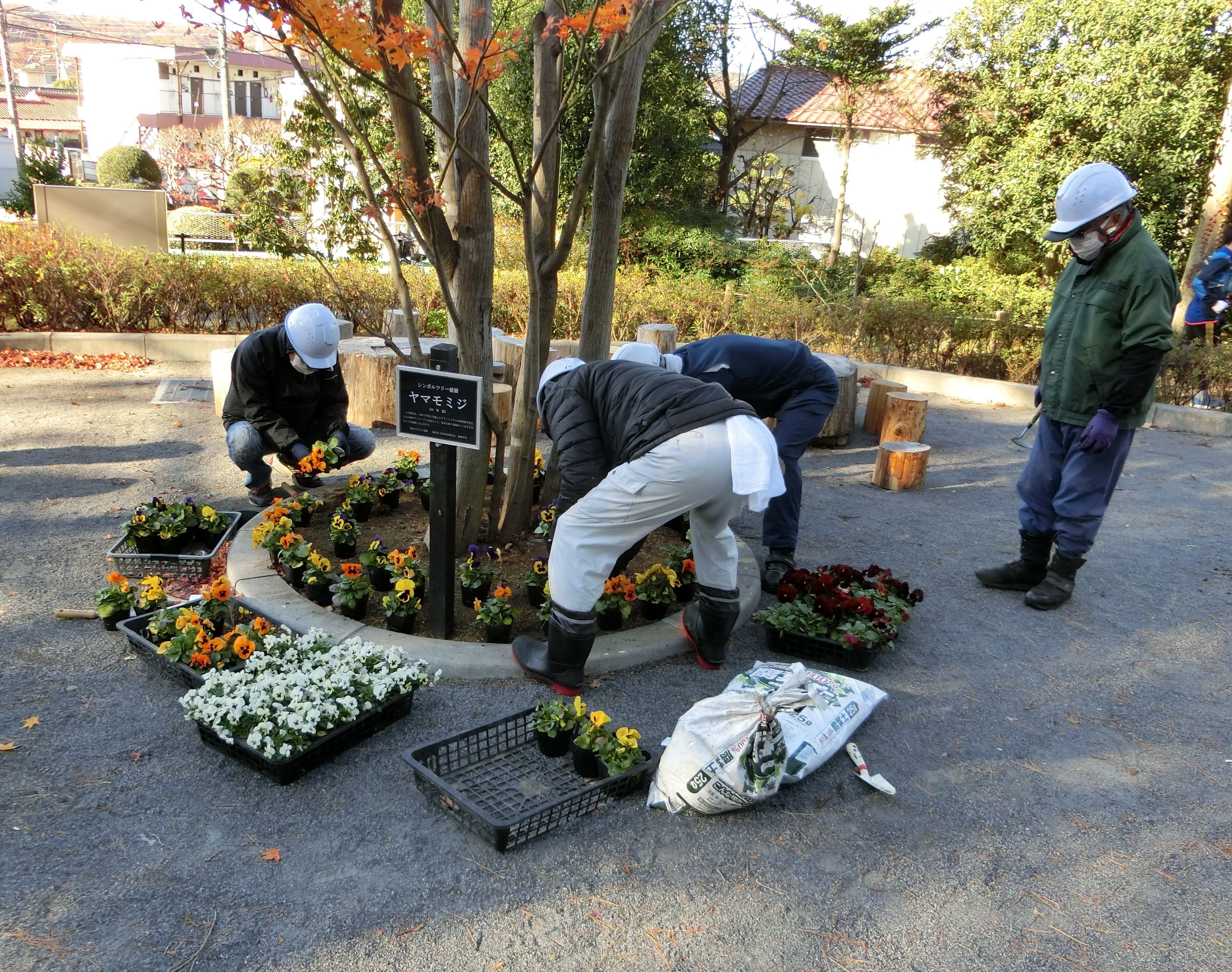 活動紹介(写真)