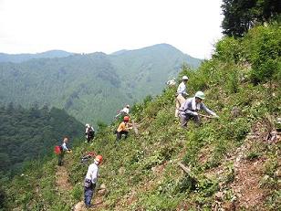 活動紹介(写真)