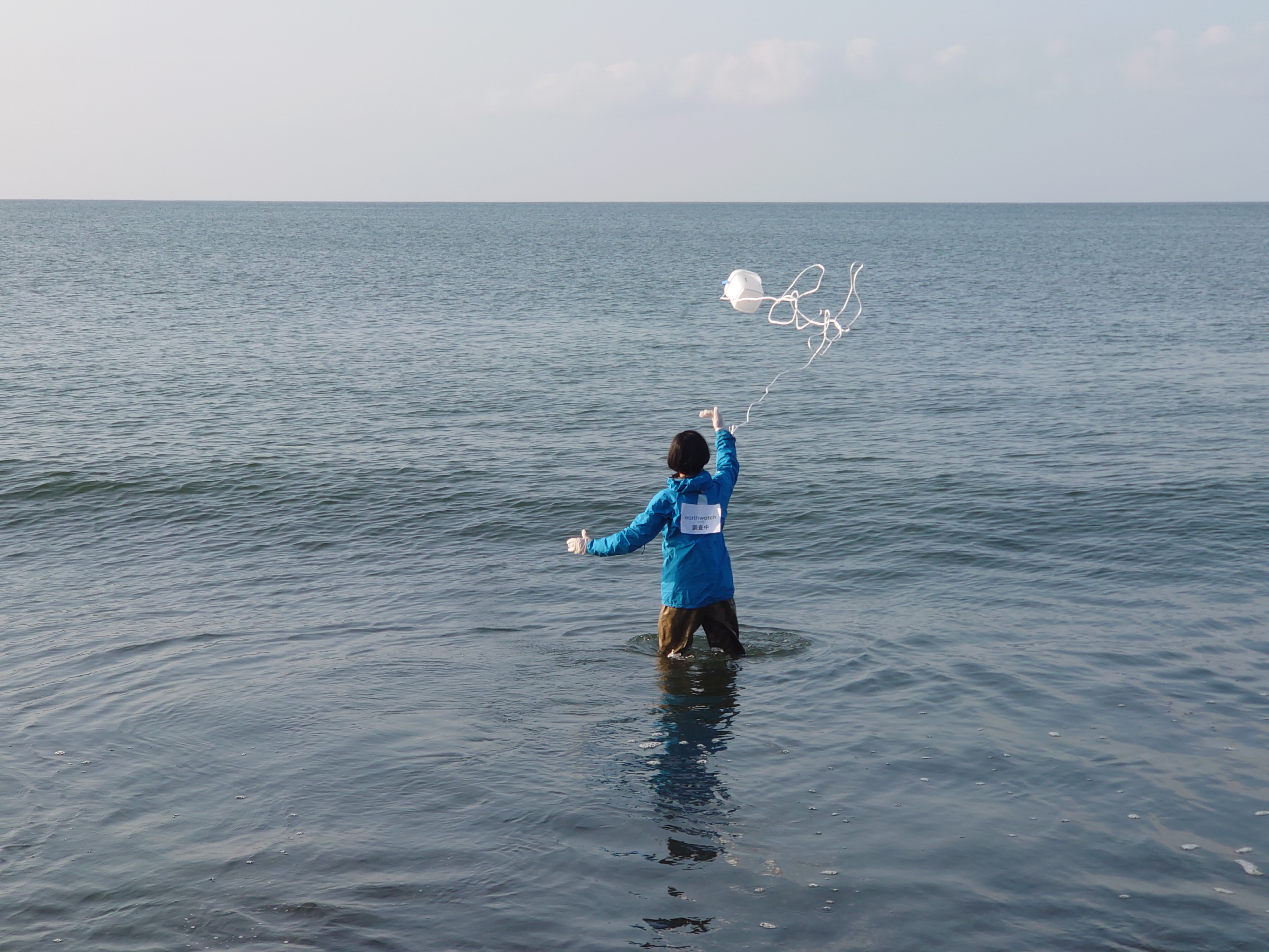活動紹介(写真)