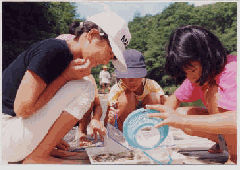 活動紹介(写真)