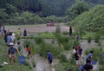 活動紹介(写真)
