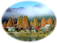 活動紹介(写真)