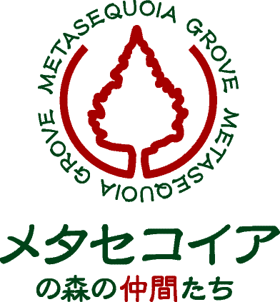 メタセコイアの森の仲間たち