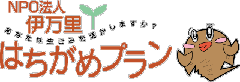 伊万里はちがめプラン