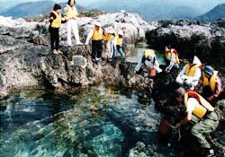 活動紹介(写真)